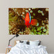 Pair Bridled Anemonefish Bubble-tip Wall Decal