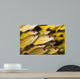 Schooling Bluestripe Snapper Lutjanus Wall Decal