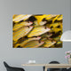 Schooling Bluestripe Snapper Lutjanus Wall Decal