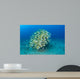 School Bluestripe Snapper Hawaiian Wall Decal Design 1
