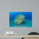 School Bluestripe Snapper Hawaiian Wall Decal Design 1