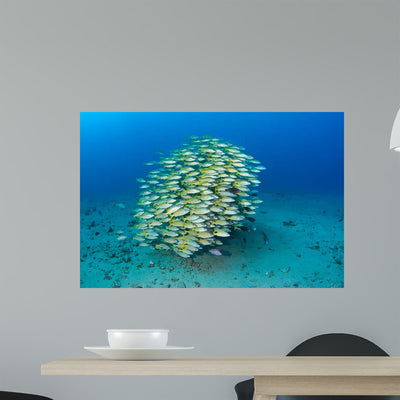 School Bluestripe Snapper Hawaiian Wall Decal Design 1 shown on a wall