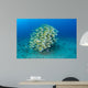 School Bluestripe Snapper Hawaiian Wall Decal Design 1