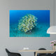 School Bluestripe Snapper Hawaiian Wall Decal Design 1