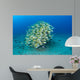 School Bluestripe Snapper Hawaiian Wall Decal Design 1