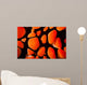 Close-up Look between Spines Wall Decal