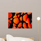 Close-up Look between Spines Wall Decal