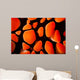 Close-up Look between Spines Wall Decal