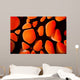 Close-up Look between Spines Wall Decal