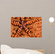 Close-up Underside Panamic Cushion Wall Decal