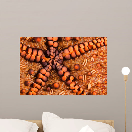 Close-up Underside Panamic Cushion Wall Decal