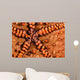 Close-up Underside Panamic Cushion Wall Decal