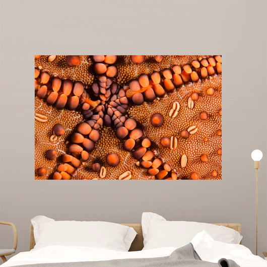 Close-up Underside Panamic Cushion Wall Decal