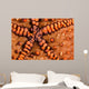 Close-up Underside Panamic Cushion Wall Decal