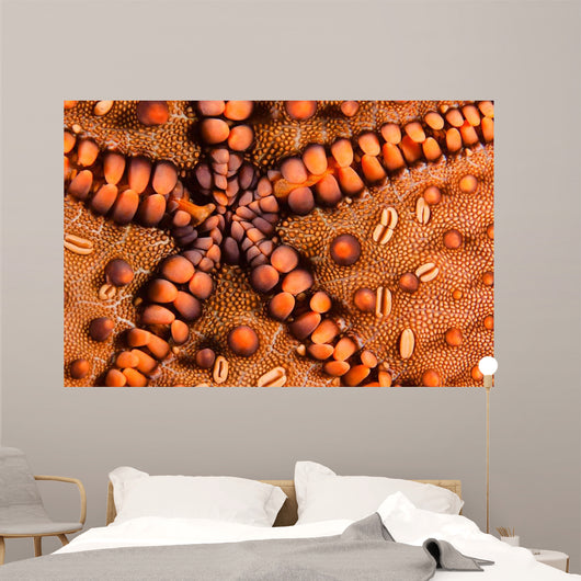 Close-up Underside Panamic Cushion Wall Decal