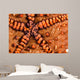 Close-up Underside Panamic Cushion Wall Decal