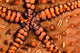 Close-up Underside Panamic Cushion Wall Decal