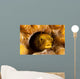Spinyhead Blenny Hard Coral Wall Decal Design 1