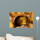 Spinyhead Blenny Hard Coral Wall Decal Design 1
