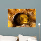 Spinyhead Blenny Hard Coral Wall Decal Design 1