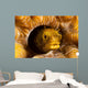 Spinyhead Blenny Hard Coral Wall Decal Design 1