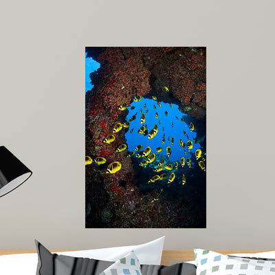 Schooling Raccoon Butterflyfish off Wall Decal Design 3 shown on a wall