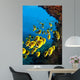 Schooling Raccoon Butterflyfish off Wall Decal Design 1