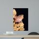 Blackside Hawkfish Resting Coral Wall Decal