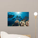 School Black Triggerfish Swimming Wall Decal