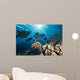 School Black Triggerfish Swimming Wall Decal