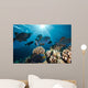 School Black Triggerfish Swimming Wall Decal