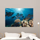 School Black Triggerfish Swimming Wall Decal
