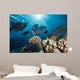 School Black Triggerfish Swimming Wall Decal