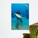 Diver Full Chain Mail Wall Decal
