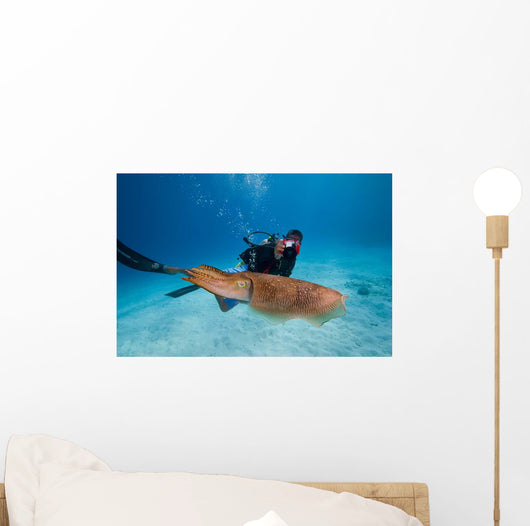Diver Photographing Common Cuttlefish Wall Decal