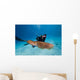 Diver Photographing Common Cuttlefish Wall Decal