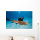 Diver Photographing Common Cuttlefish Wall Decal