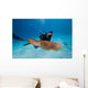 Diver Photographing Common Cuttlefish Wall Decal