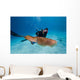 Diver Photographing Common Cuttlefish Wall Decal