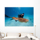 Diver Photographing Common Cuttlefish Wall Decal
