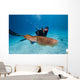 Diver Photographing Common Cuttlefish Wall Decal