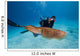 Diver Photographing Common Cuttlefish Wall Decal