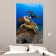 Diver Swimming with Green Wall Decal Design 2