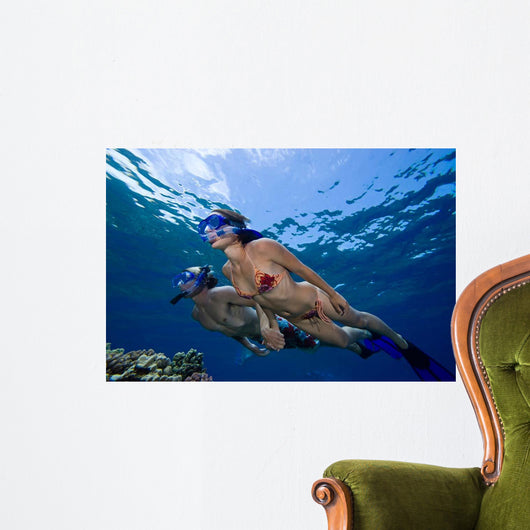 Couple Free Diving Hawaii Wall Decal