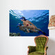 Couple Free Diving Hawaii Wall Decal