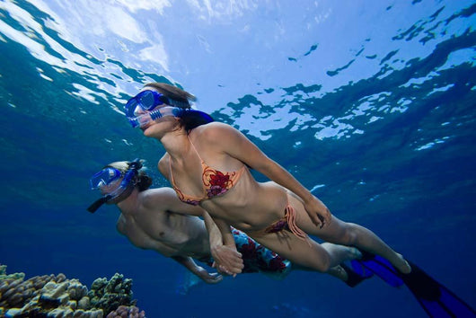 Couple Free Diving Hawaii Wall Decal