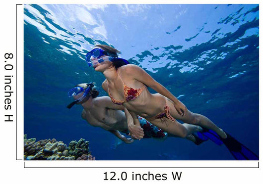 Couple Free Diving Hawaii Wall Decal
