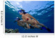 Couple Free Diving Hawaii Wall Decal