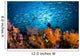 Schooling Fusiliers and Alcyonaria Wall Decal
