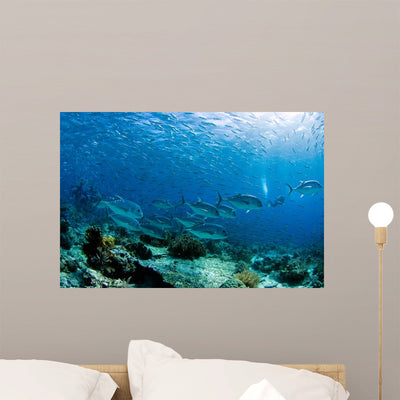 Diver Swimming with School Wall Decal shown on a wall